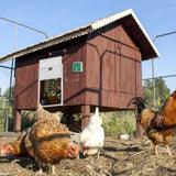 SWANEW Hühnerklappe Automatische Hühnertür Mit Fernsteuerung, für sichere Hühnerhaltung, Multi-Modi-hühnerklappe, 30x60cm