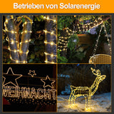 SWANEW Solar LED Lichtschlauch für Außen, 100 LEDs Lichterschlauch, IP65 LED Lichterkette, 8 Beleuchtungsmodi, 10-30m [Energieklasse F]